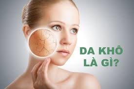 Da khô - Hình ảnh minh họa